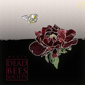 Dead Bees Society
