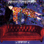 I've Always Wanted To Do This