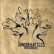 We're Not Coming Down by Junior Battles