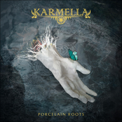 Porcelain Roots - Single