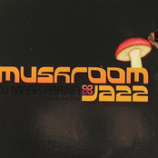 mushroom jazz 5