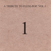 A Tribute to Flexipop Vol.01