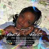 Shelter of Love (The Singles)