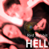 red rabbit say hello