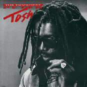 (you Gotta Walk) Don't Look Back by Peter Tosh