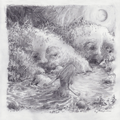 Alice Roosevelt, Vol. 2