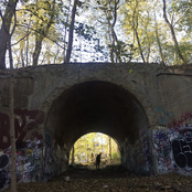 while the light is fading