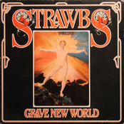 The Journey's End by Strawbs