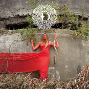 Spectacular Nite -狂おしい夜について-