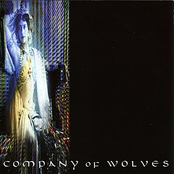 Skin To Skin by Company Of Wolves