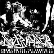 Prowling For The Blasts #1