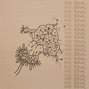 Fas Signal