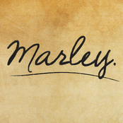 the bob marley story (volume 4)