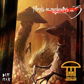 Friends On Mushrooms, Vol. 3 - EP