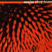Album cover for Maim That Tune, by Fila Brazillia