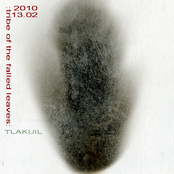 TRIBE OF FALLED LEAVES