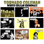 White Collar Criminls