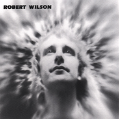 Robert Wilson