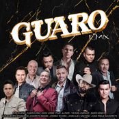 Pipe Bueno: Guaro (Remix)