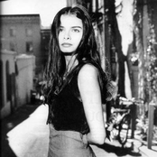 hope sandoval & the warm inventions