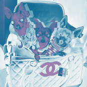 big smile lee vol. 1