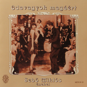 Odavagyok magáért