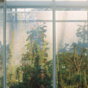 Petrichor
