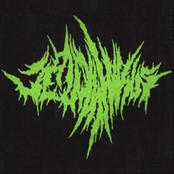 Quickinqbioneralstinger [Single]