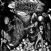 disturbance project / terrorismo musical