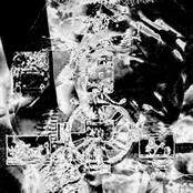 her vocal cords were used straightforward