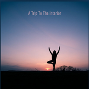 A Trip The Interior