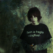 Flesh Is Fragile