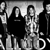 Allcoy