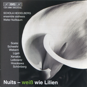 Nuits - weiß wie Lilien