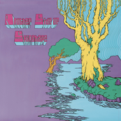 Another Side Of Skinshape