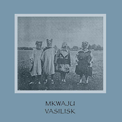 [SK78] Vasilisk - Mkwaju (2014)