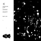Next Life (feat. Krewella) - Single