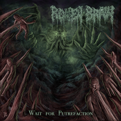 Wait For Putrefaction