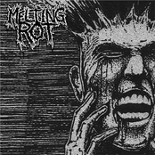 MELTING ROT