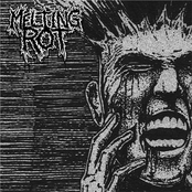 Melting Rot: MELTING ROT