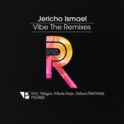 Vibe (The Remixes)