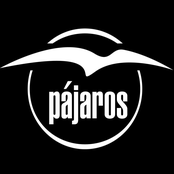 pajaros