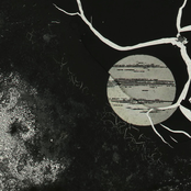 Nigel Baldacchino/Aaron Dilloway