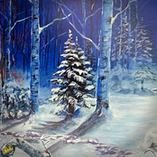 Birch Among The Pine