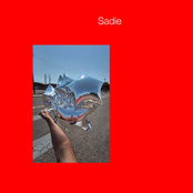 Shallowater: Sadie