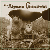 The Alpaca Gnomes: The Alpaca Gnomes