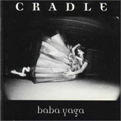 Black Tea by Cradle