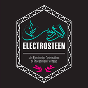 Electrosteen