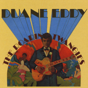 A String Of Pearls by Duane Eddy