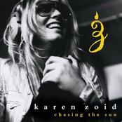 Born To Shine by Karen Zoid